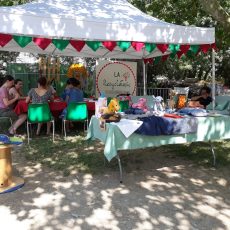 Organisé par le Centre Equestre l’Etrier du Lauragais au Mas-Sainte-Puelle - Juin 2019